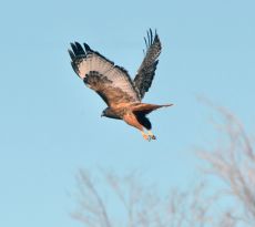 ElPasoCounty-CO_LAH_9516f