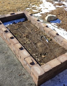 Garden bed in January 2