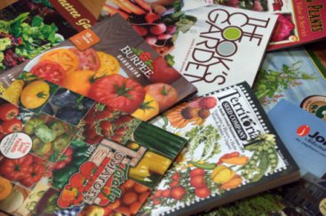 Seed catalogs_LAH_2733