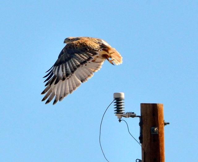 02_ElPasoCounty-CO_LAH_9600