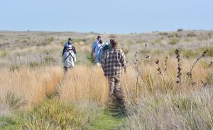 CFO birders_HamiltonCo-KS_LAH_5311