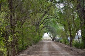 MelodyTempleGrove-BentCo-CO_LAH_5576