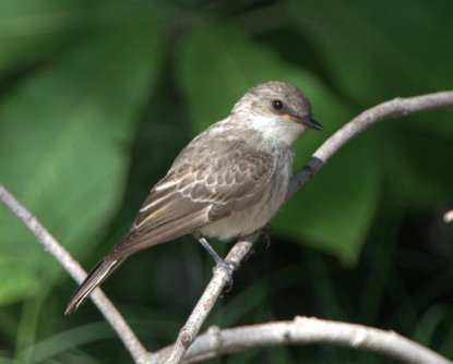 06 RattlesnakeSprings-NM_LAH_8621