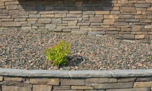 Rock mulch_COS_LAH_7745