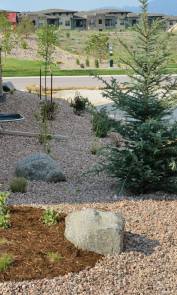 Surface boulder_COS_LAH_7750