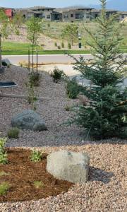 Surface boulder_COS_LAH_7750