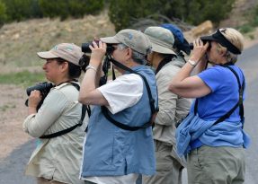 CottonwoodCyn-ComancheNatlGrasslands-CO_LAH_6000