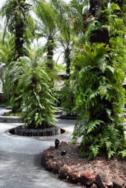 botanicgardens-singapore_lah_7427