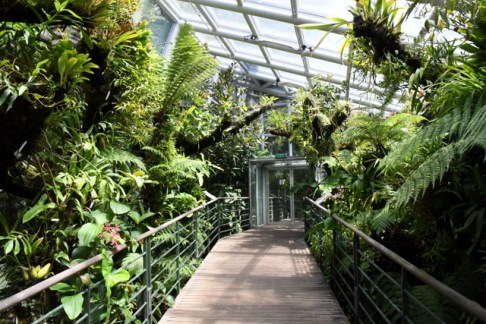 botanicgardens-singapore_lah_7662