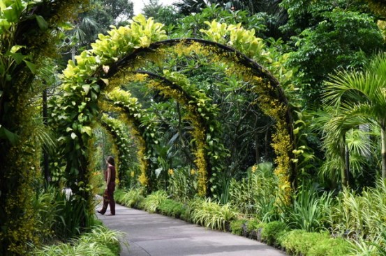 botanicgardens-singapore_lah_7736