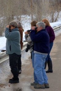 birders_laveta-co_lah_7416