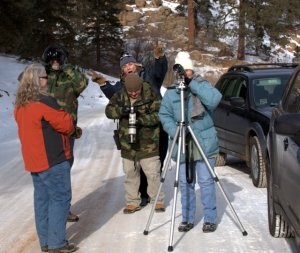 birders_elevenmilecyn-co_lah_6034