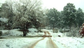 2009-04-12-easter-morning-snow-004