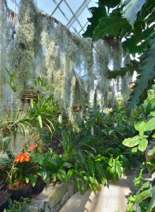 wwseymourconservatory-tacoma-wa_lah_0512