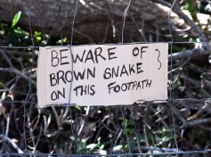 hathead-qld-australia_lah_0537