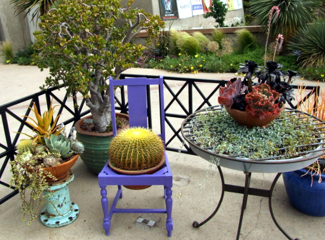 Fabulous Container Gardens – Mountain Plover