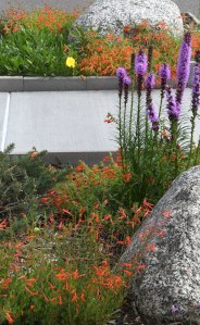 NewSantaFeTrl-COS-CO_LAH_2654