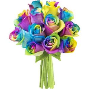 rainbow roses walmart