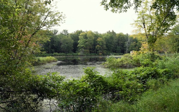 ShiawasseeNWR-MI_LAH_4482