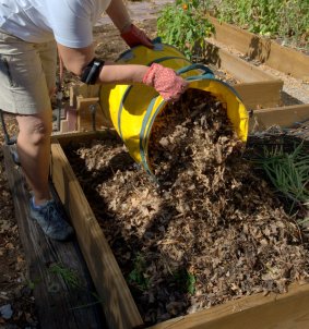 Covering carrots_Joan Nusbaum's-ColoSpgs_LAH_4634