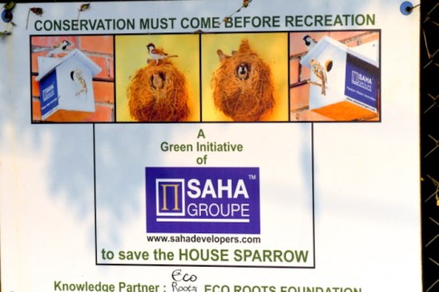 OkhlaBirdSanctuary-India_LAH_8247