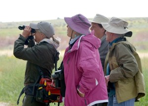 Aiken birders_ChicoBasinRanch-CO_LAH_2825-001
