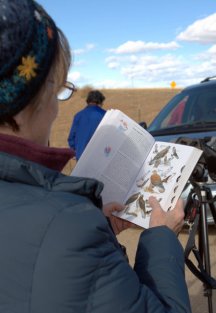 Hawk Trip-ElPasoCo-CO_LAH_6738