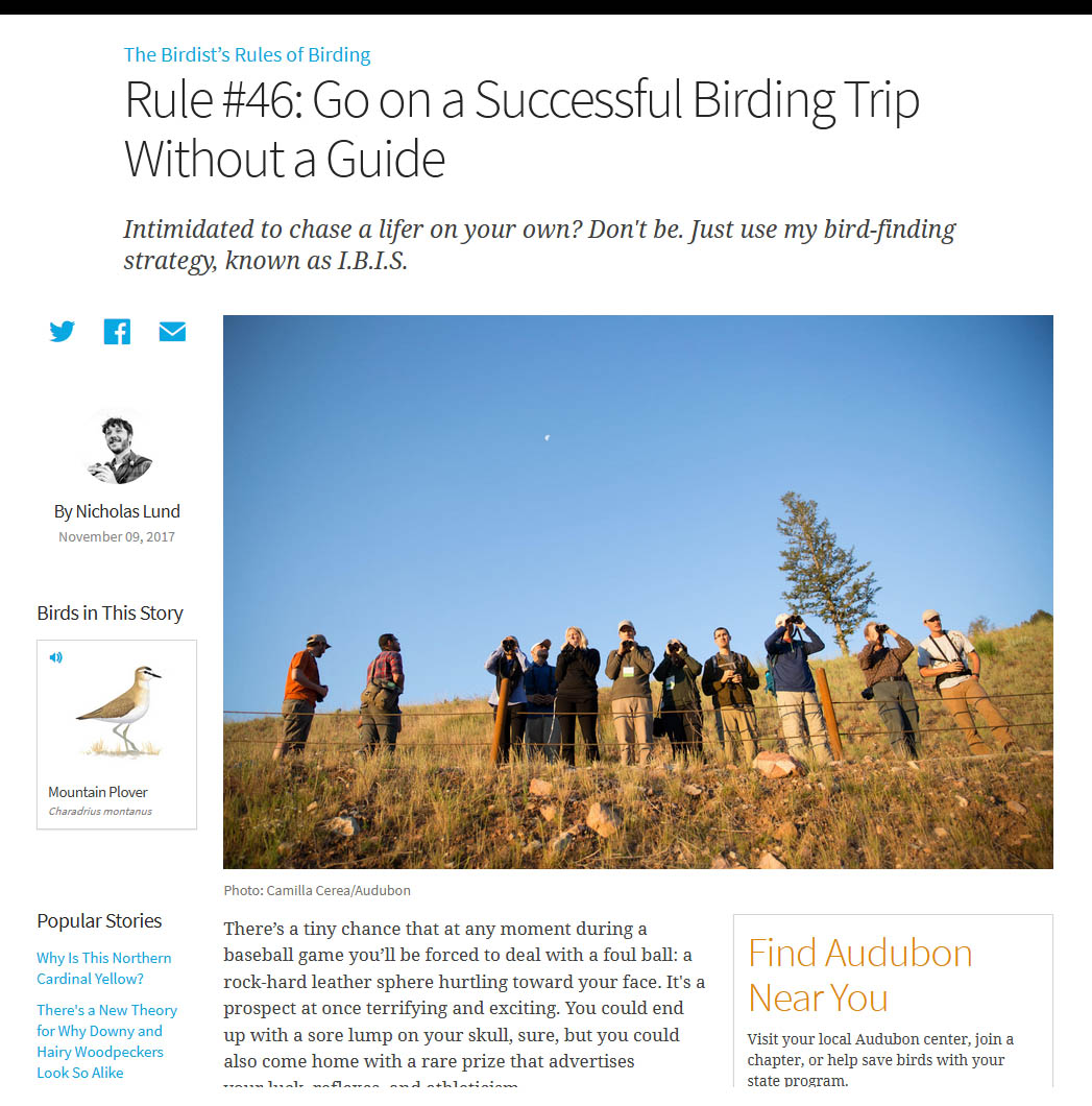 Birder's Rules screen grab