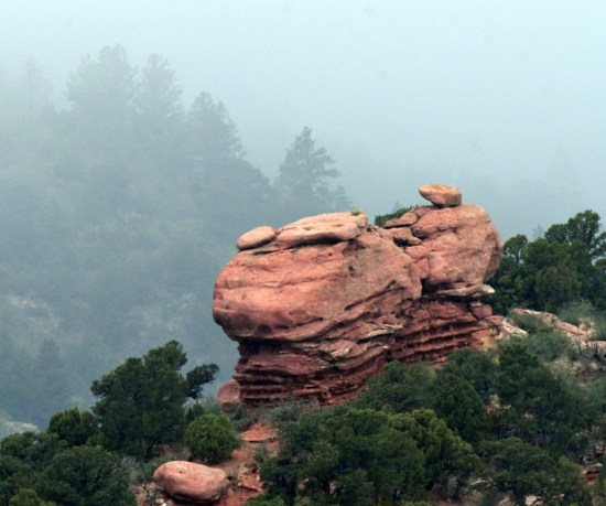 AikenCyn-CO_LAH_3086r - Copy