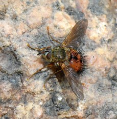 Emerald Valley-EPCo-CO_LAH_5477