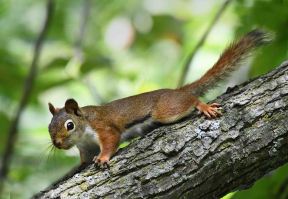 ReedsLake-GrandRapids-MI_LAH_4921