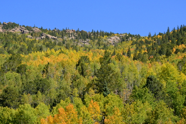 Aspen_Hwy67toVictor-CO_LAH_4817