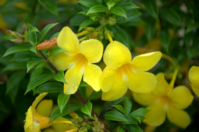 _east-PR_20100528_LAH_7711