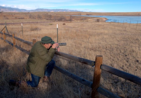 Hawk Trip-ElPasoCo-CO_LAH_6728