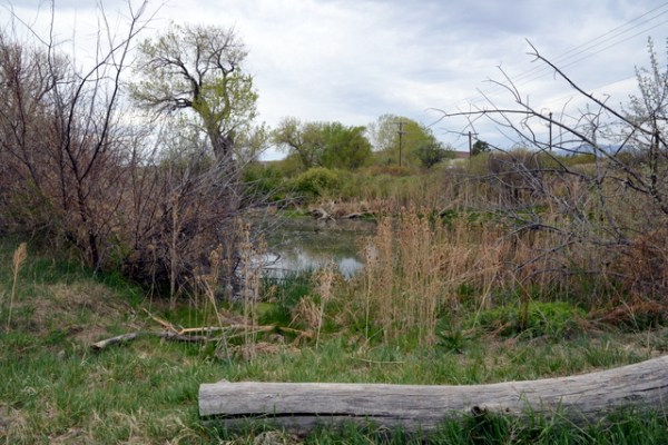 FCRP-Sect7-EPC-CO_LAH_5589