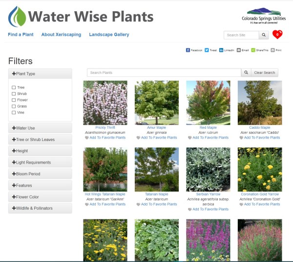 waterwise - find a plant