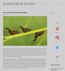 Screenshot 2020-08-15 09.03.00